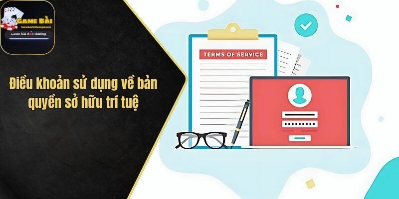 Điều khoản sử dụng về bản quyền sở hữu trí tuệ