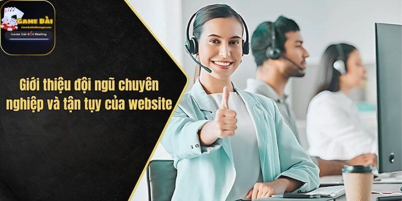 Giới thiệu đội ngũ chuyên nghiệp và tận tụy của website