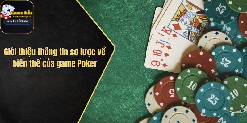 Poker Texas Hold’em – Quy Luật Chơi Bài Chuẩn Nhất 2024